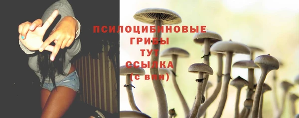 apvp Новокубанск