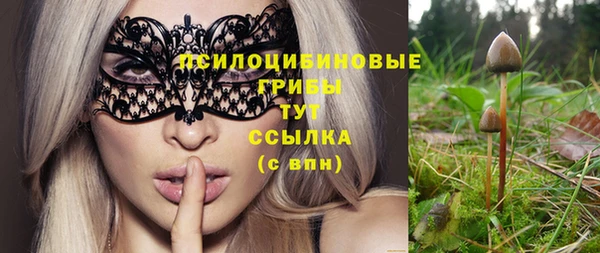 гашиш Новодвинск